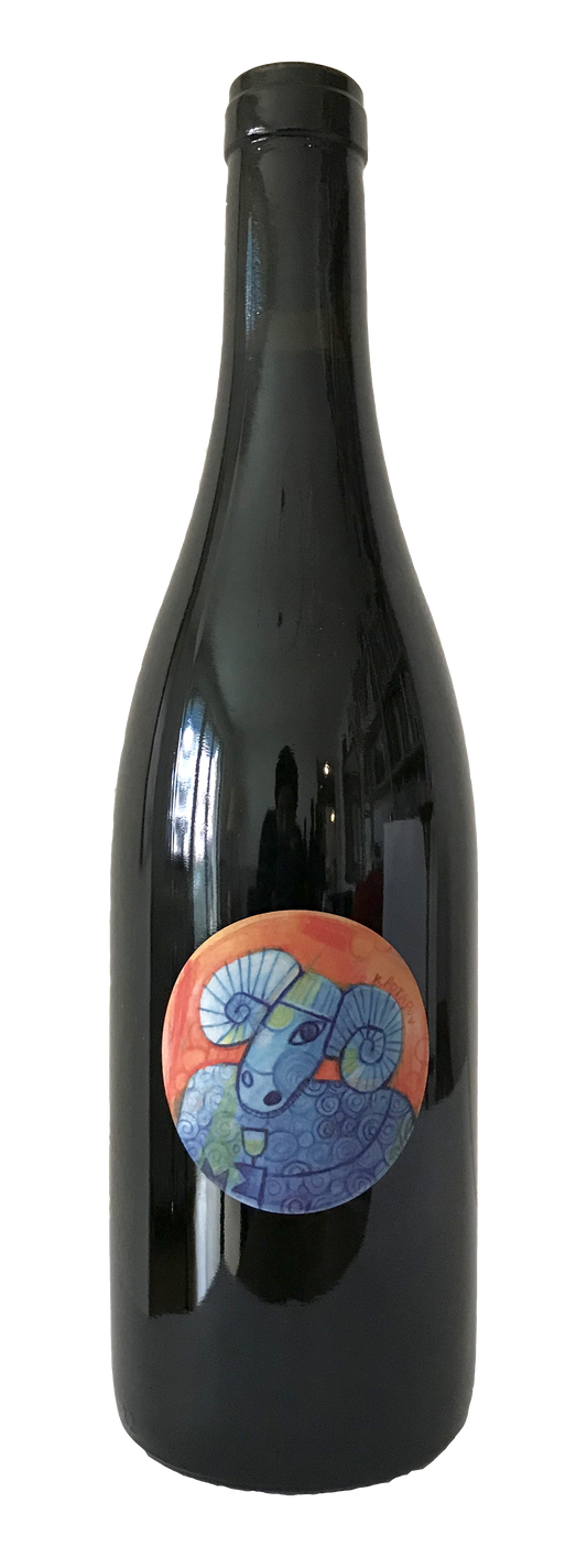 Sauvignon Blanc Echo 2023